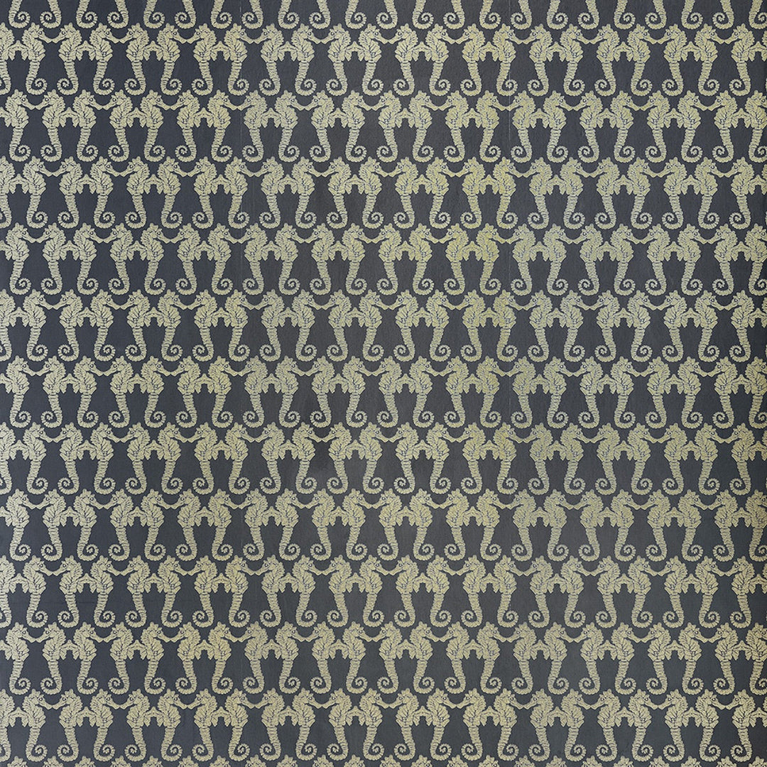 Seahorse Wallpape