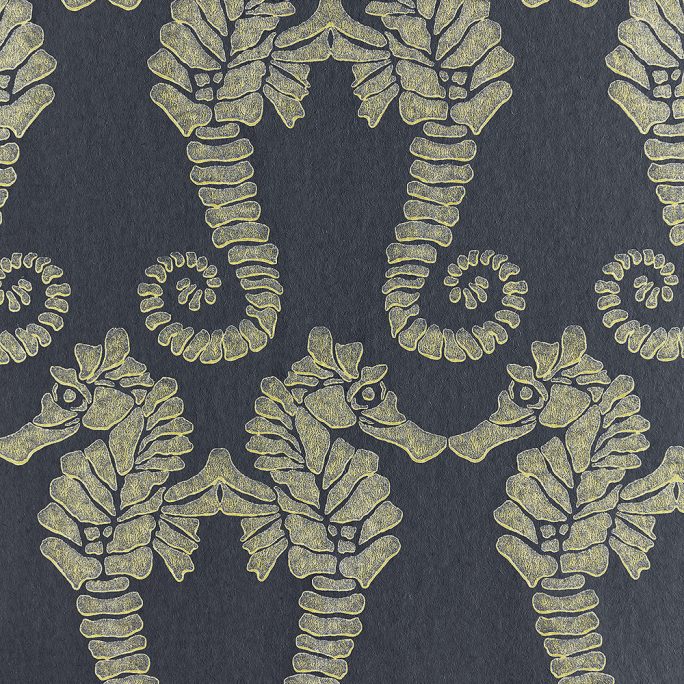 Seahorse Wallpaper
