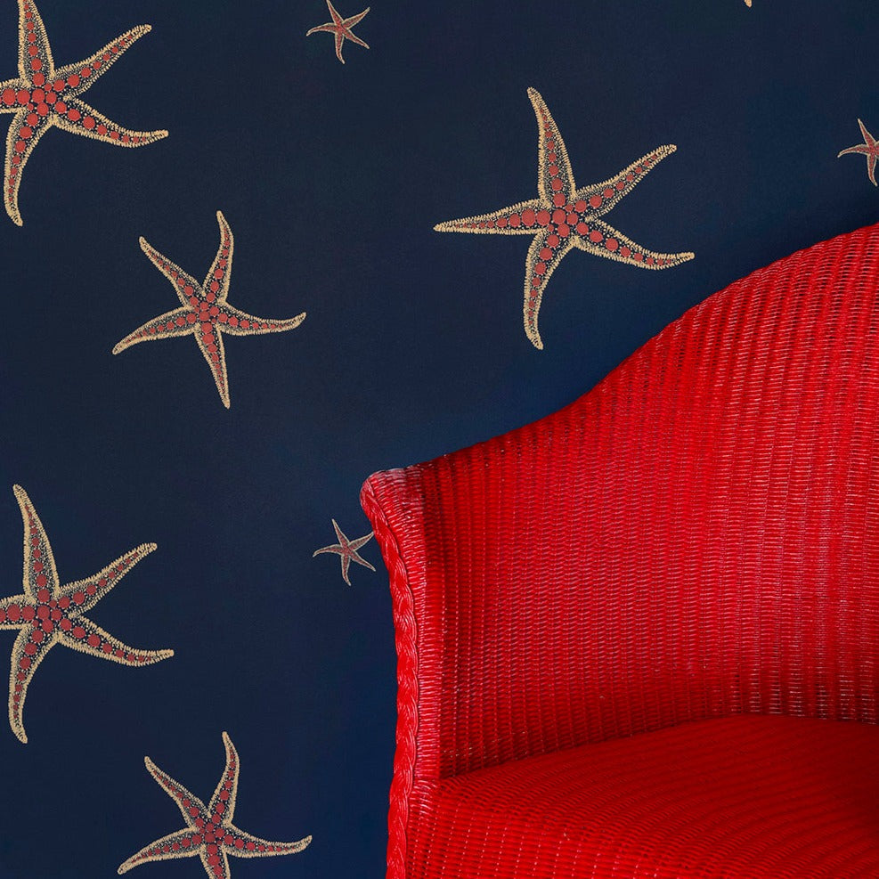 Starfish Wallpaper by Barneby Gates