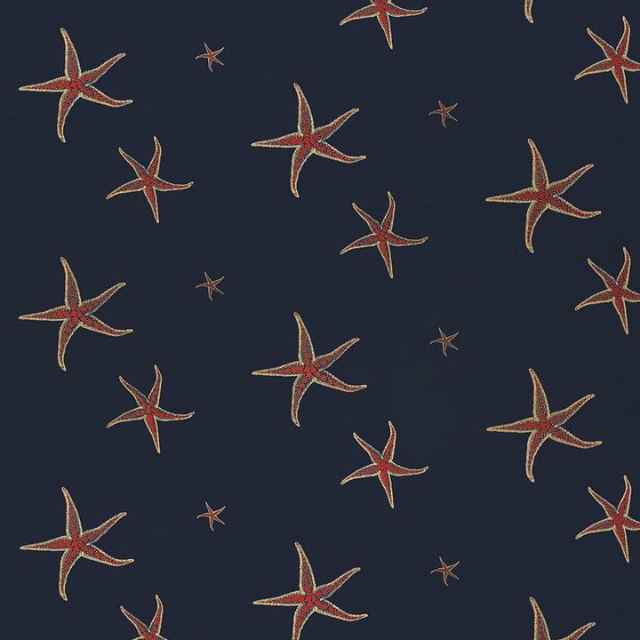 Starfish Wallpaper by Barneby Gates