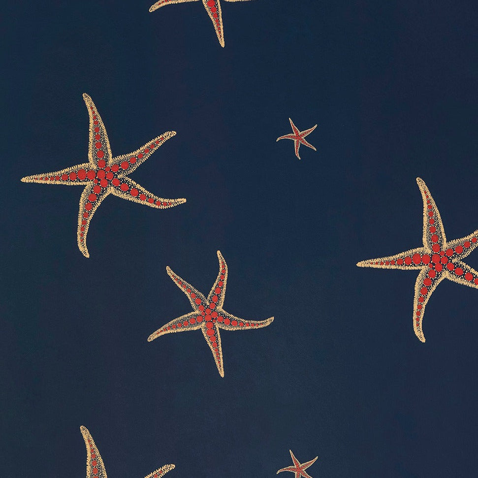 Starfish Wallpaper by Barneby Gates