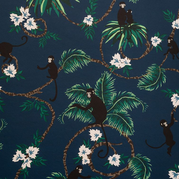 Tabitha Webb Monkey Wallpaper