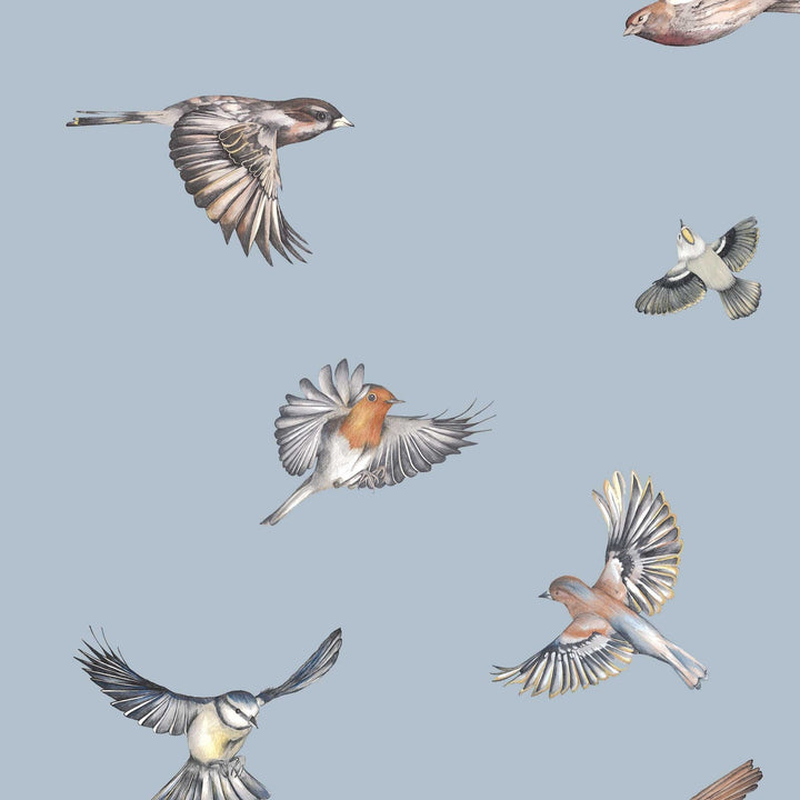 Early Bird Powder Blue Wallpaper