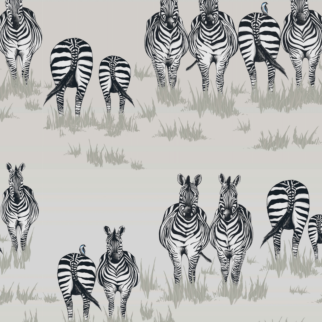 Dazzle Wallpaper