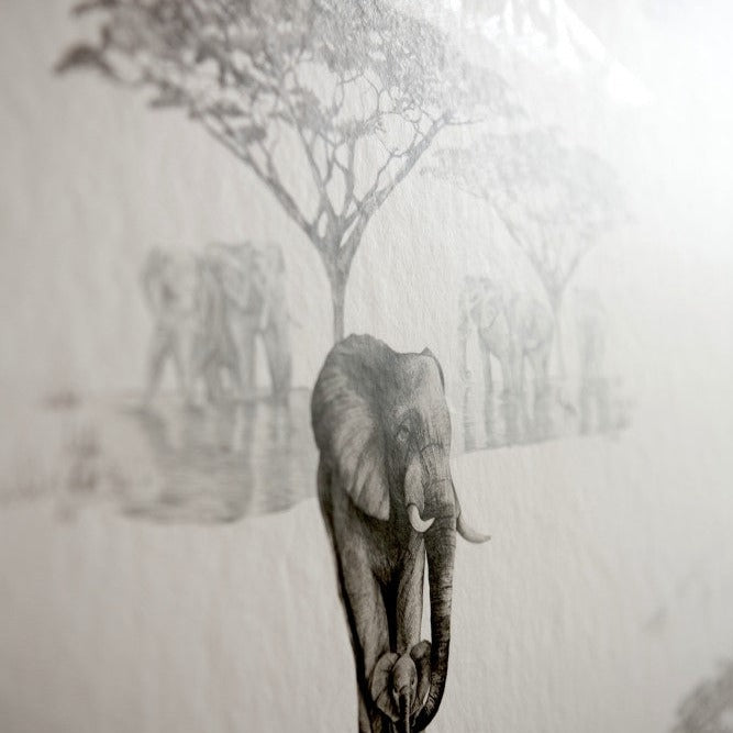 The Waterhole Wallpaper